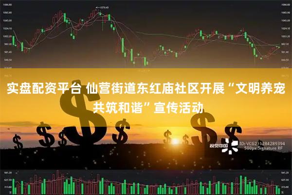 实盘配资平台 仙营街道东红庙社区开展“文明养宠 共筑和谐”宣传活动