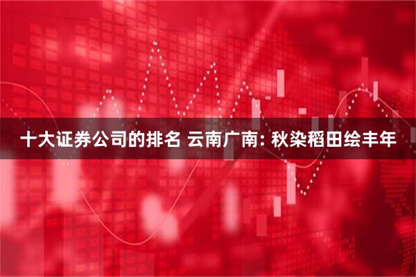 十大证券公司的排名 云南广南: 秋染稻田绘丰年