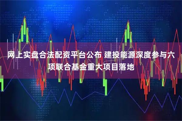 网上实盘合法配资平台公布 建投能源深度参与六项联合基金重大项目落地